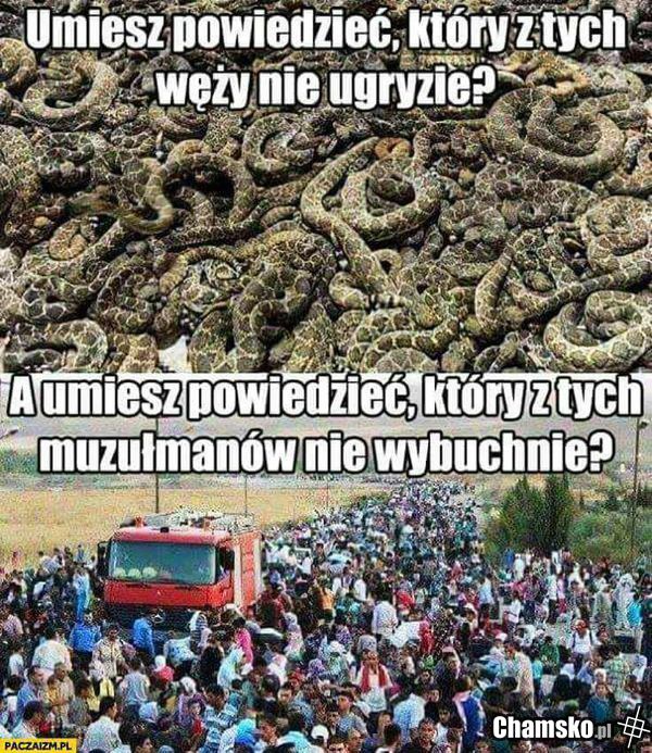 A umiesz powiedzieć...?