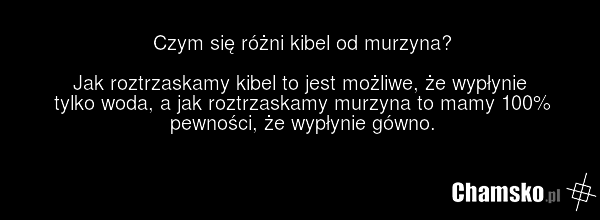 Czym się różni kibel od murzyna? Jak roztrzaskamy kibel to jest możliwe, że wypłynie tylko woda, a jak roztrzaskamy murzyna to mamy 100% pewności, że wypłynie gówno.