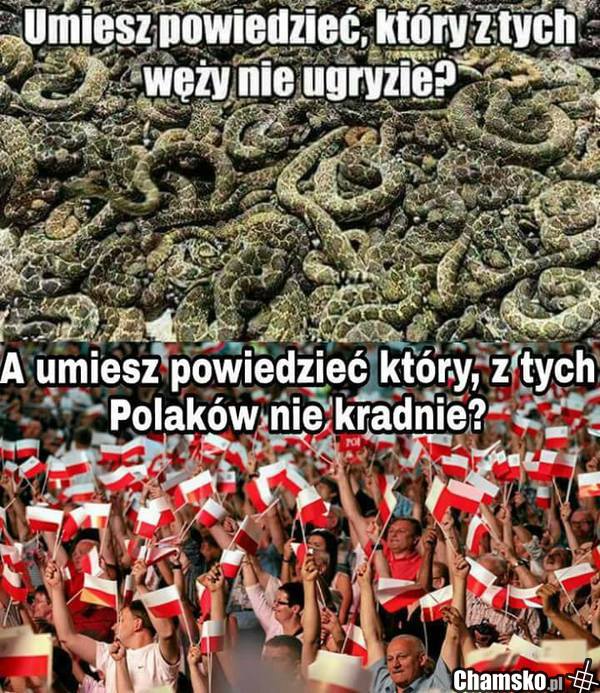 Czy umiesz powiedzieć?