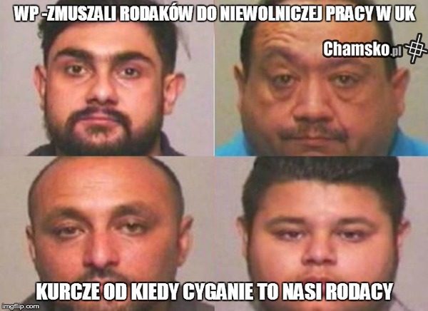 jacy qrwa rodacy