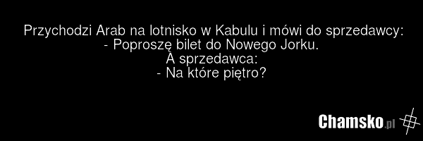 Przychodzi Arab na lotnisko w Kabulu i mówi do sprzedawcy: - Poproszę bilet do Nowego Jorku. A sprzedawca: - Na które piętro?