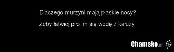 Dlaczego murzyni mają płaskie nosy? Żeby łatwiej piło im się wodę z kałuży