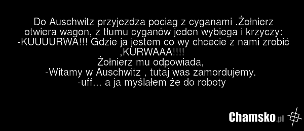 Do Auschwitz przyjezdza pociag z cyganami .Żołnierz otwiera wagon, z tłumu cyganów jeden wybiega i krzyczy: -KUUUURWA!!! Gdzie ja jestem co wy chcecie z nami zrobić ,KURWAAA!!!! Żołnierz mu odpowiada, -Witamy w Auschwitz , tutaj was zamordujemy. -uff... a ja myślałem że do roboty