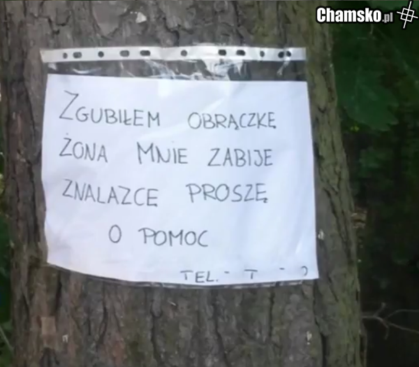 niebezpieczna suka