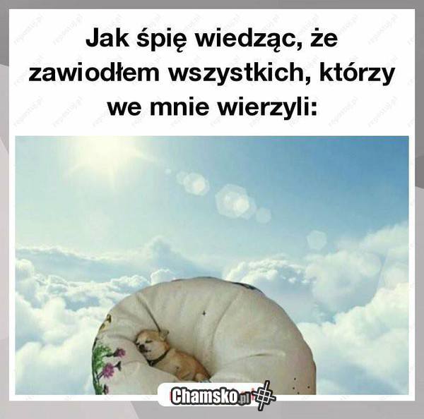 Prawda