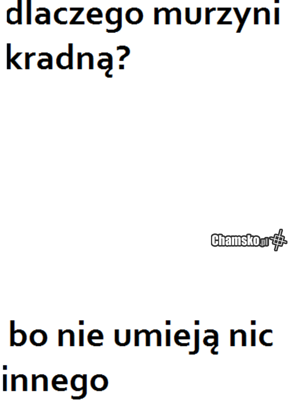Dlaczego murzyni kradną?