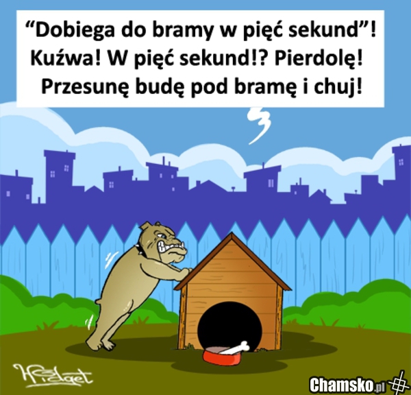 wkurwiony pies