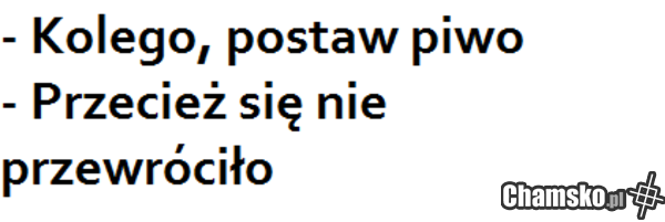 Stawianie piwa