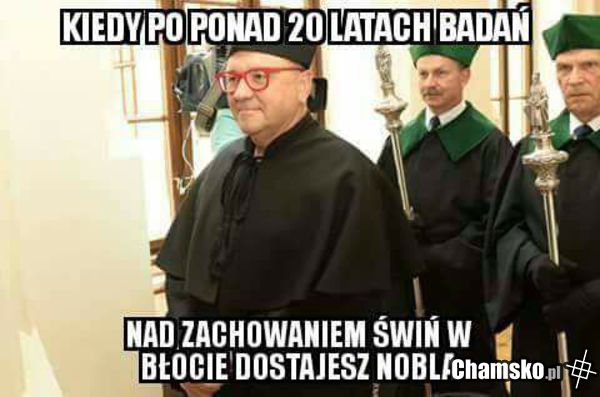 Owsik i jego Brudstook