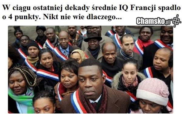 IQ we Francji