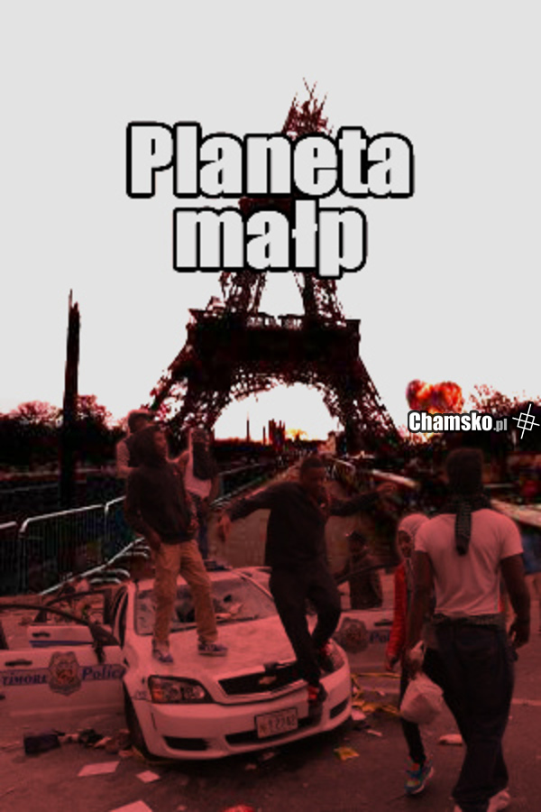 Welcome to france