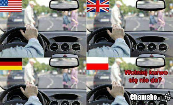 Polak panem świata