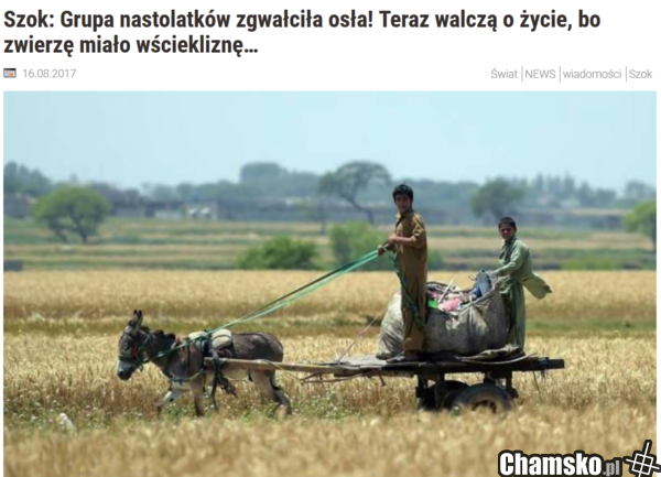 Co za pech