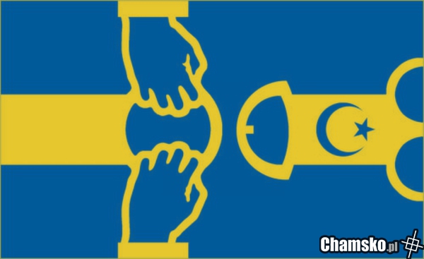 Nowa flaga Szwecji : )