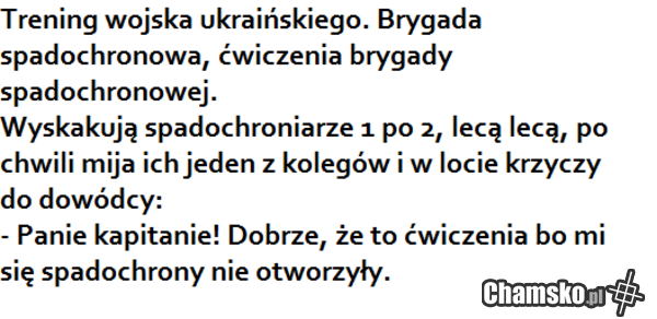 ukraińce, głupie gówno