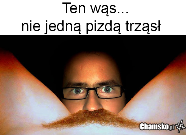 wąs