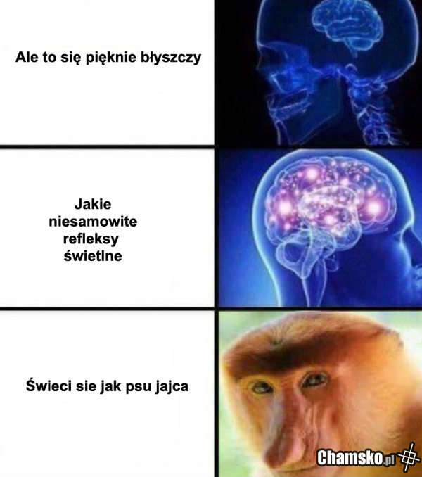 Blask nosacza