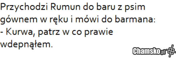 Rumun wchodzi do baru