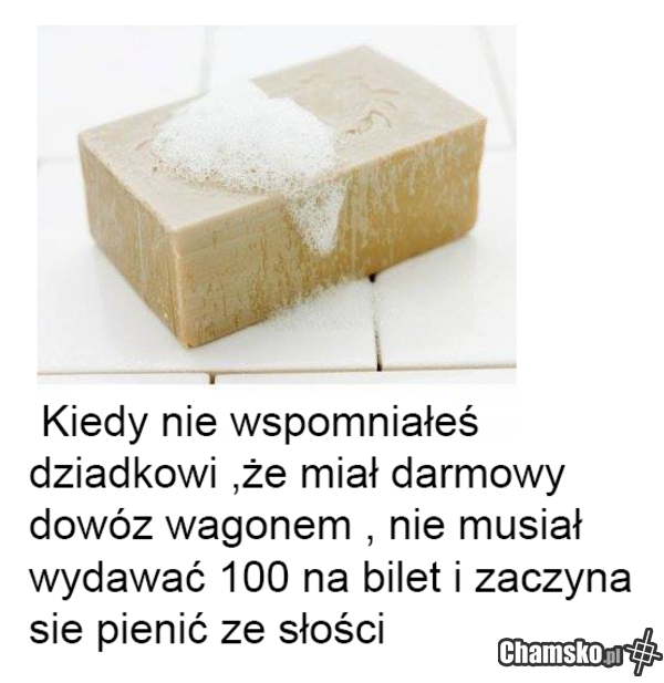 Darmowy Bilet