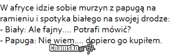 Zakup