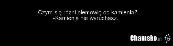 -Czym się różni niemowlę od kamienia? -Kamienia nie wyruchasz.