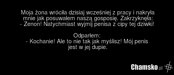 Moja żona wróciła dzisiaj wcześniej z pracy i nakryła mnie jak posuwałem naszą gosposię. Zakrzyknęła: - Zenon! Natychmiast wyjmij penisa z cipy tej dziwki! Odparłem: - Kochanie! Ale to nie tak jak myślisz! Mój penis jest w jej dupie.