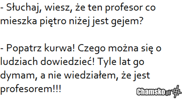 Profesor