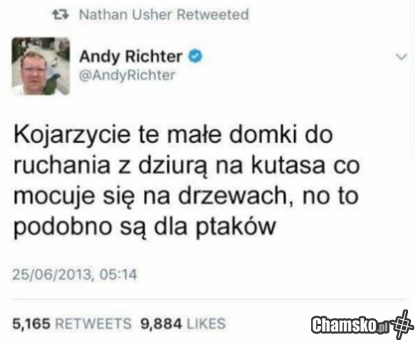 domek dla ptaków