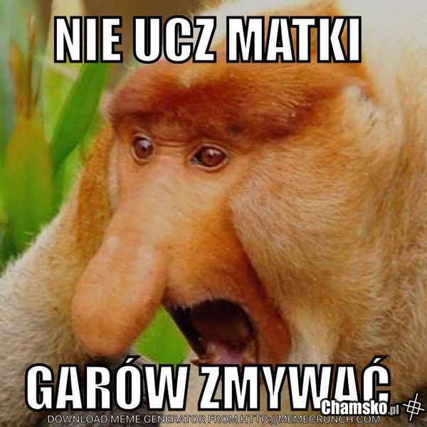 Nie ucz..