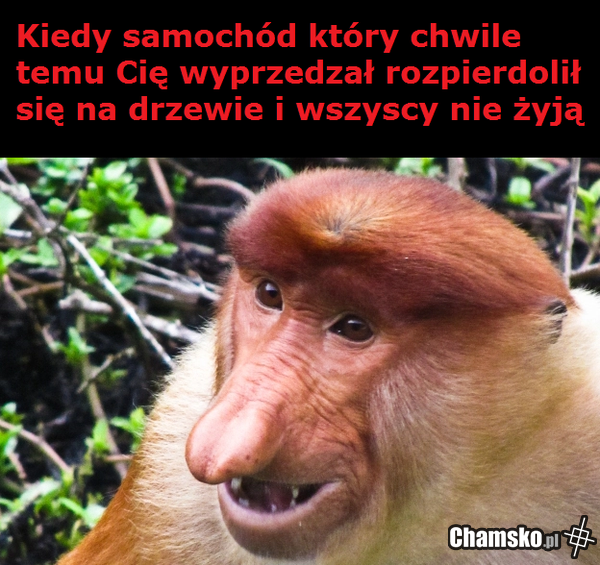 Nie ma takiego wyprzedzania