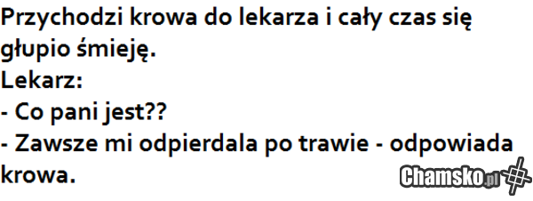 Krowa u lekarza