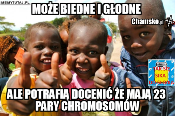 tak jest