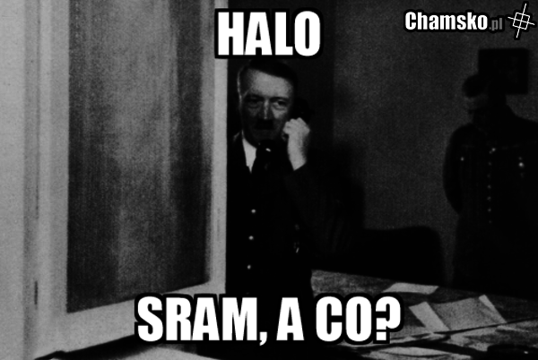Halo?