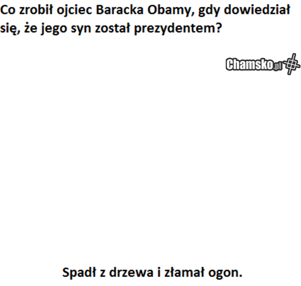 bujają się na gałęzi