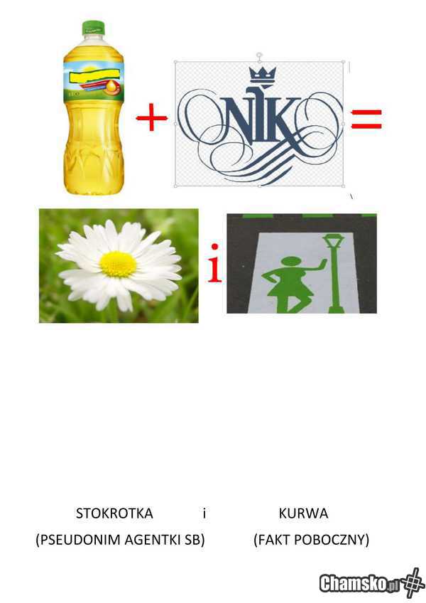 Rebusik