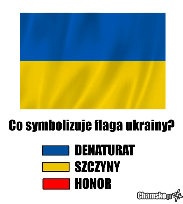 Flaga Ukrainy Chamsko Pl