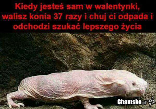 Fred