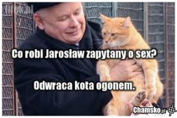 Na kocią łapę