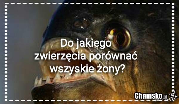Żony...