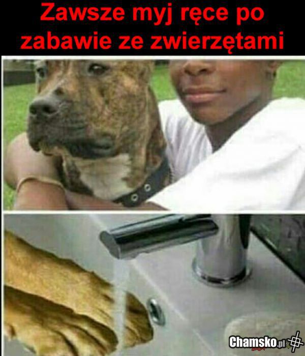 Ważna rada