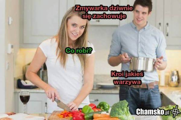 Co ta zmywarka?