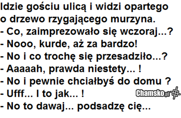 Murzynollo vol. 2354453