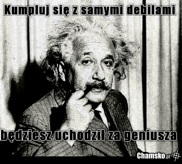 IQ*