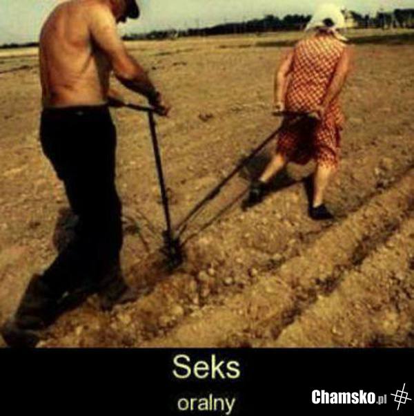 Nie ma jak oral