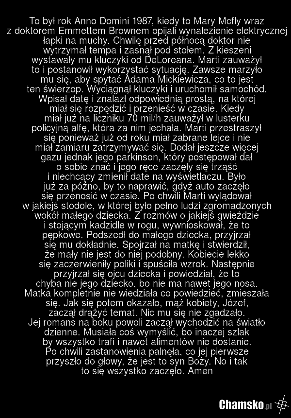 To był rok Anno Domini 1987, kiedy to Mary Mcfly wraz z doktorem Emmettem Brownem opijali wynalezienie elektrycznej łapki na muchy. Chwilę przed północą doktor nie wytrzymał tempa i zasnął pod stołem. Z kieszeni wystawały mu kluczyki od DeLoreana. Marti zauważył to i postanowił wykorzystać sytuację…