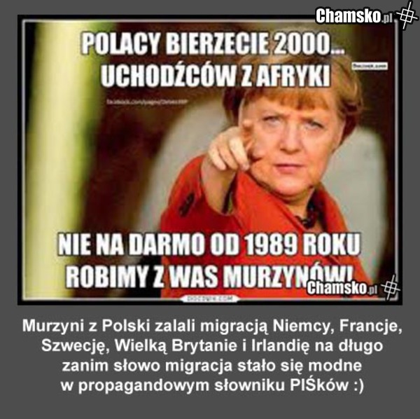 Zanim migracja stała się modna