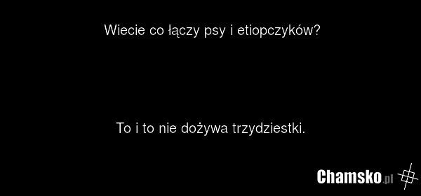 Wiecie co łączy psy i etiopczyków? To i to nie dożywa trzydziestki.