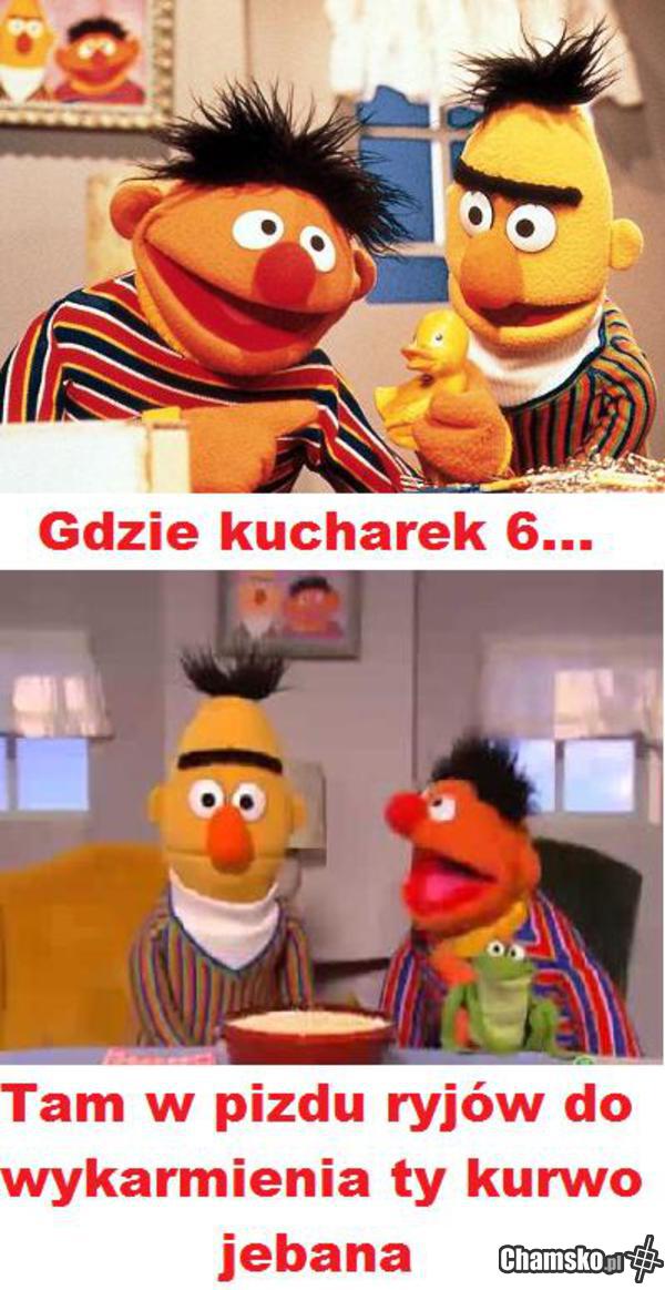 Gdzie kucharek sześć