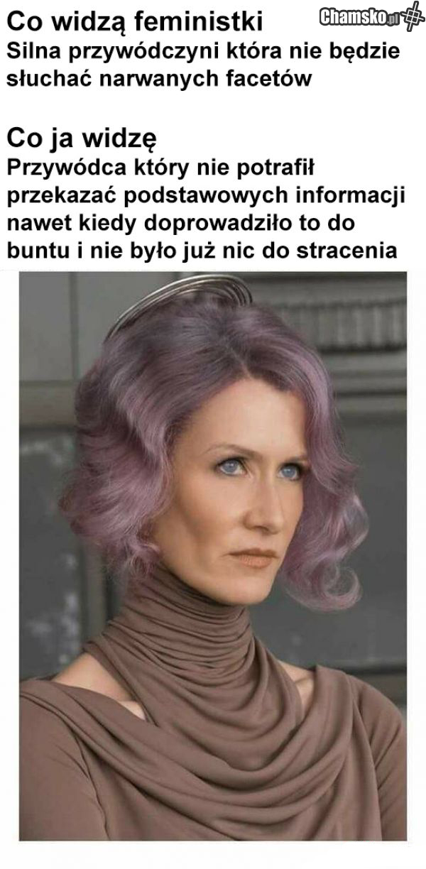 feminizm w pigułce