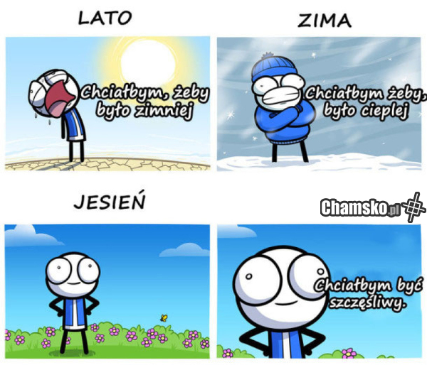 zawsze coś nie tak